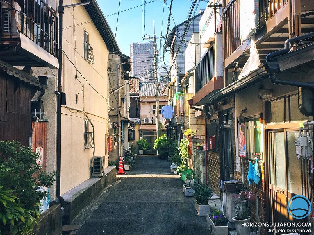 Tournage pour une chaîne câblée aujourd’hui, dans un des nombreux coins méconnus d’Osaka
#osakasafari #japonsafari