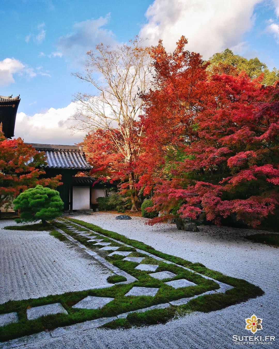 Les premières belles couleurs de l’automne #japon #kyoto #kyotosafari