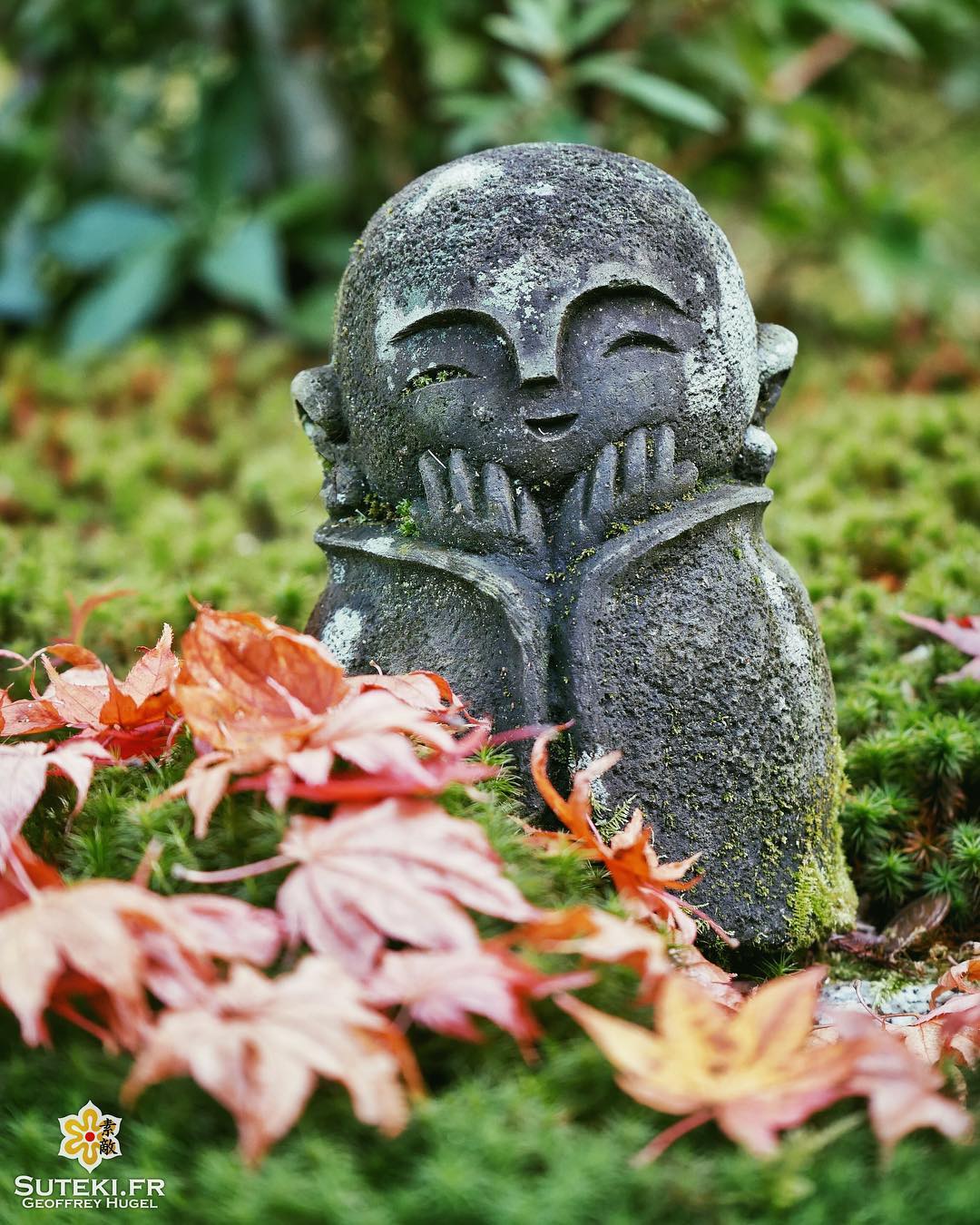 Youpi ! C’est l’automne ! #japon #kyoto #kyotosafari