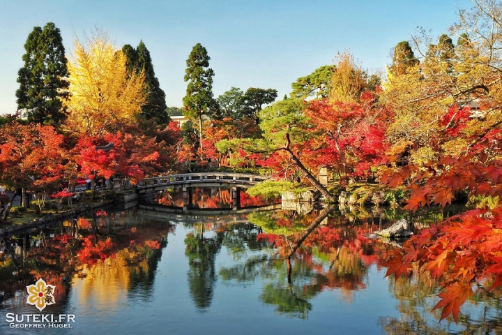 Le jardin qui ne déçoit jamais #japon #kyoto #kyotosafari