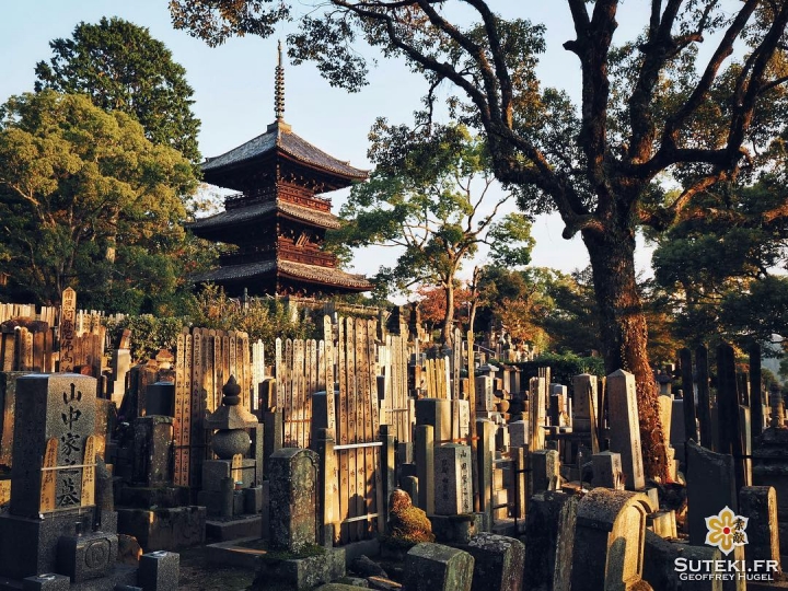 Quiétude #japon #kyoto #kyotosafari