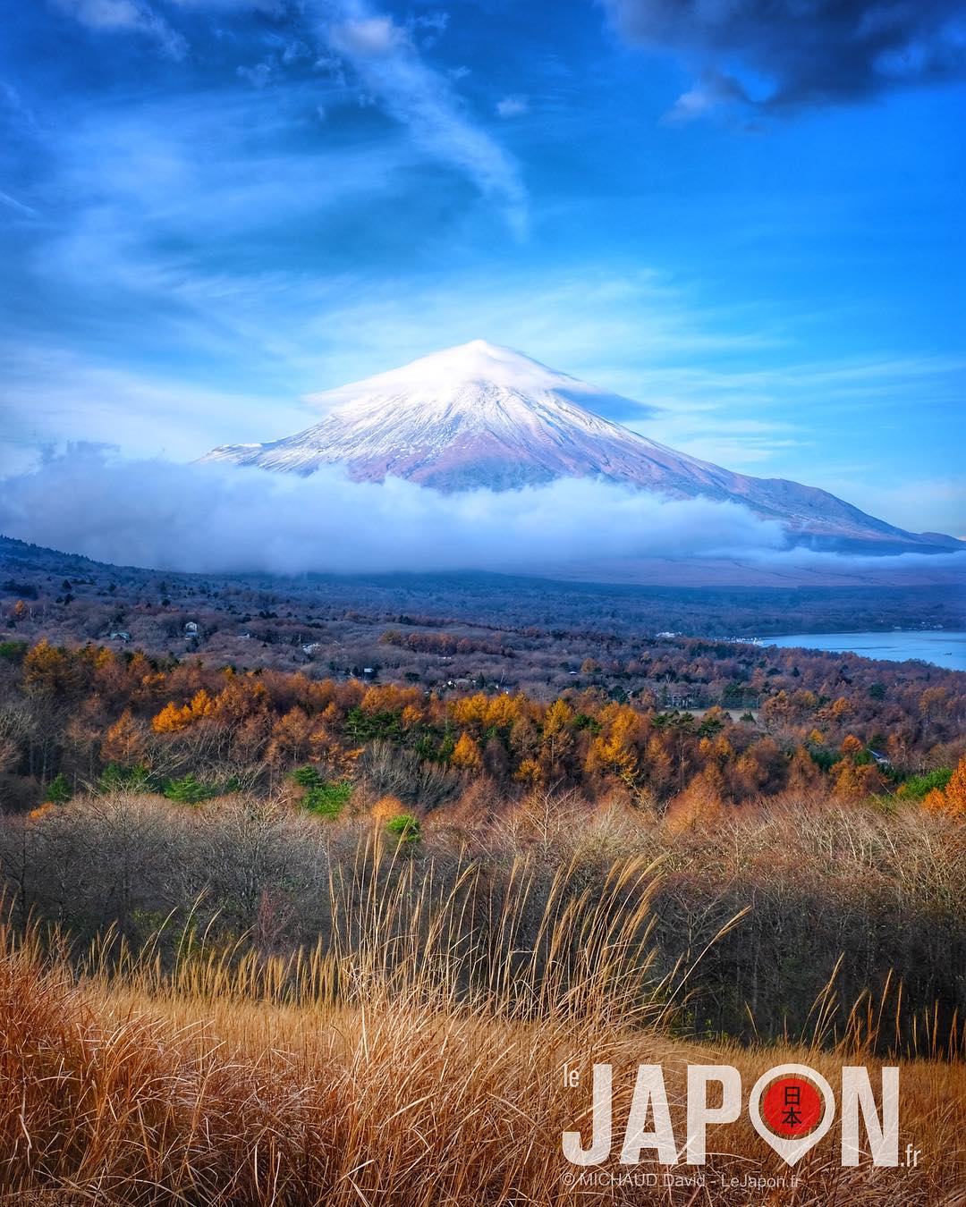 Petite vue sympa sur le Fuji san ce matin ! 🗻👌🏻😗 Merci @3776d pour le spot et le réveil à 5h du matin 😭 #Fuji #fujifilmx100f #Japon