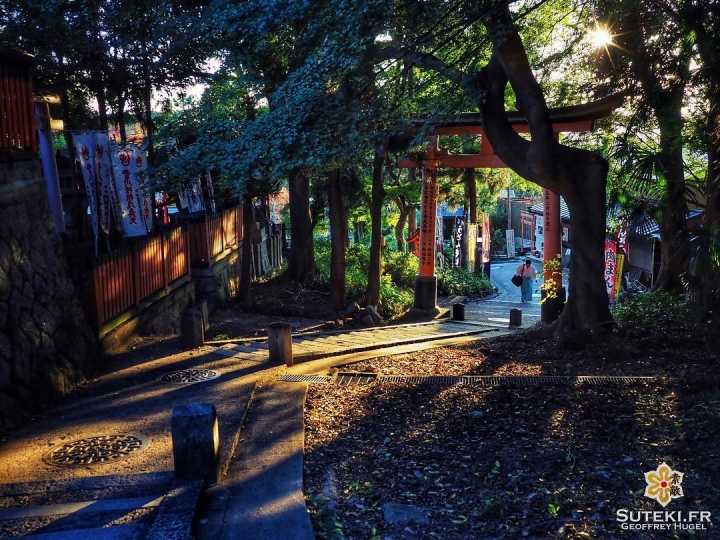 L’envers doré de Fushimi #japon #kyoto