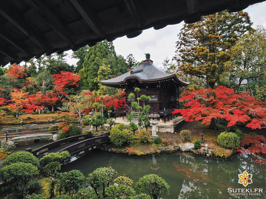 L’automne, où quand le moindre spot se sublime ! #japon #kyoto