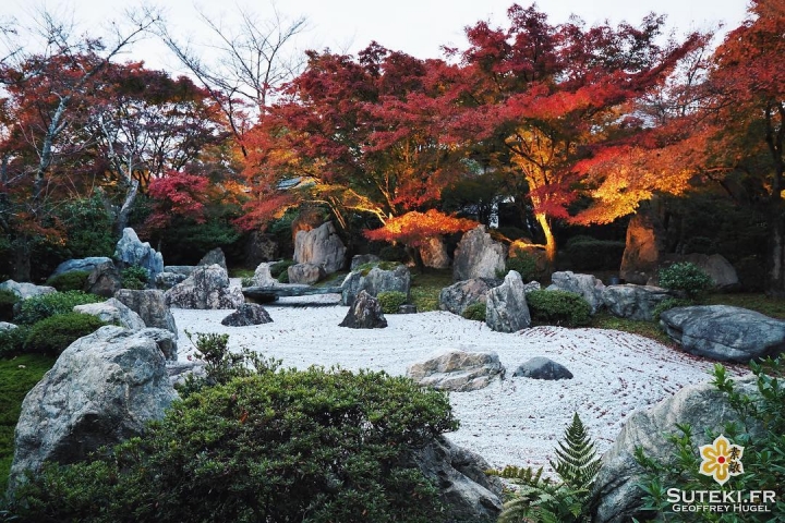 Quand l’illumination commence avant la tombée de la nuit #japon #kyoto #kyotosafari