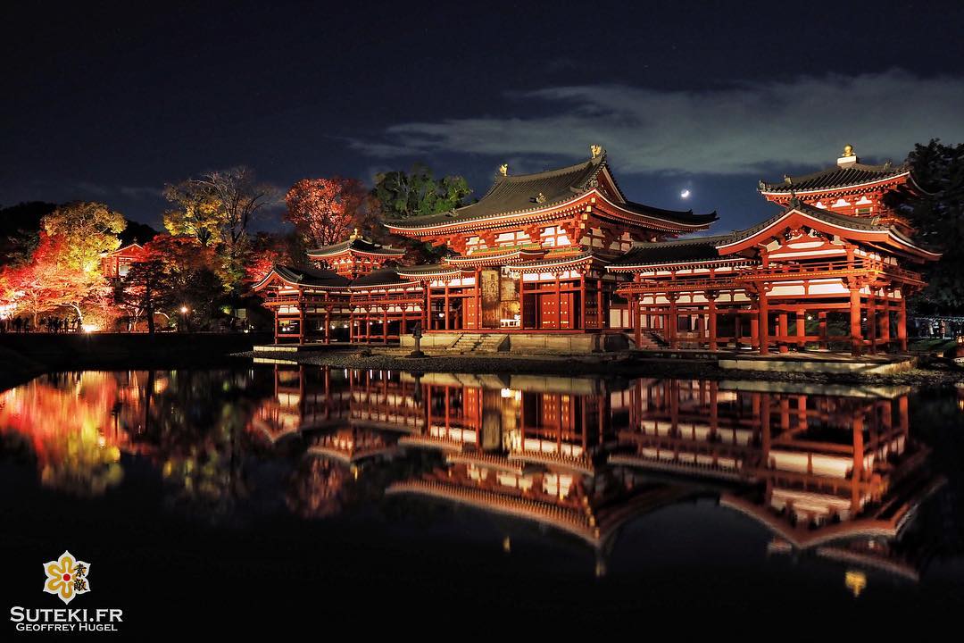 Phénix nocturne #japon #kyoto