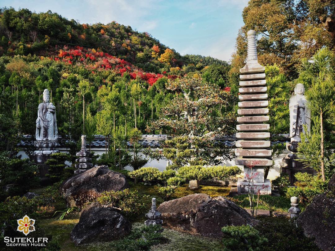 La petite touche de couleurs qui fait la différence #japon #kyoto