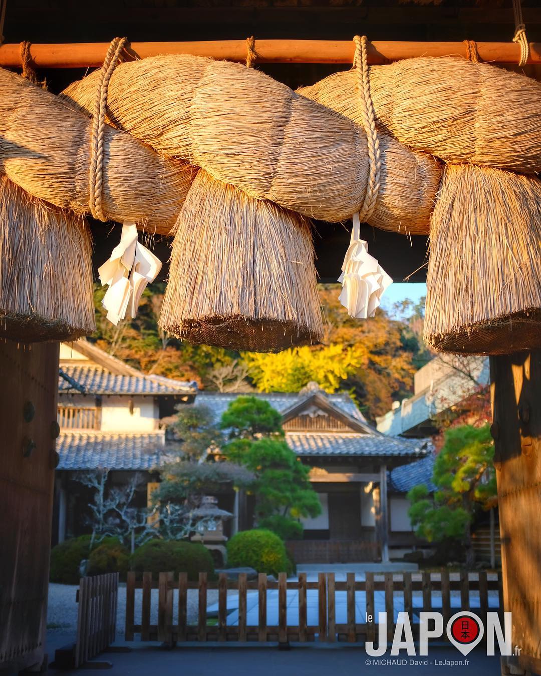 Derrière la porte du sanctuaire Izumo Taisha ! ⛩😲 #IzumoAdventures #Izumo #fujix100f