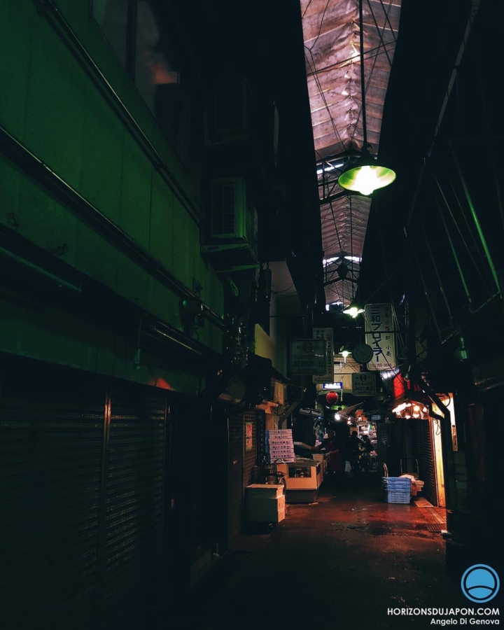 L’obscurité cache souvent un Japon étonnant 
#osakasafari #japonsafari #iphone8plus