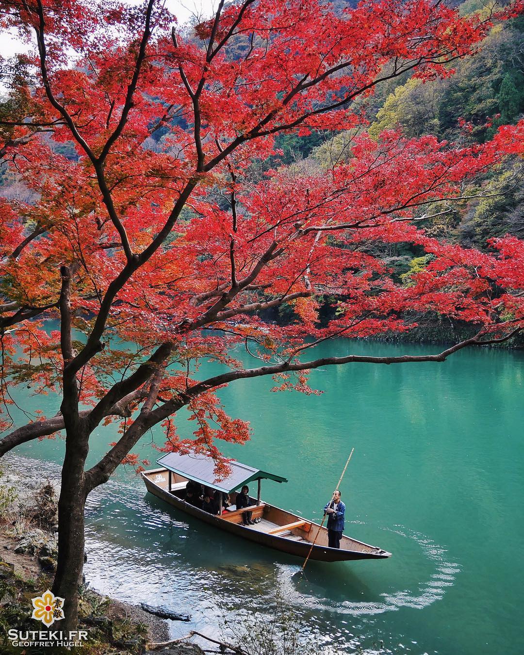 Contemplation des couleurs #japon #kyoto #kyotosafari