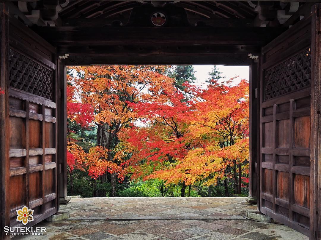Portes ouvertes sur les momiji ! #japon #kyoto