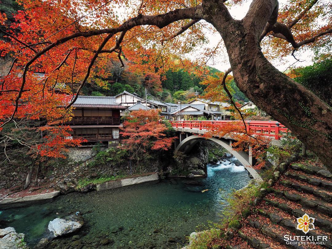 Koyo de campagne #japon #kyoto