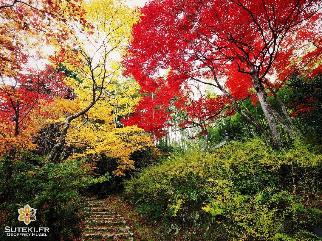 Le chemin qui mène aux couleurs #japon #kyoto