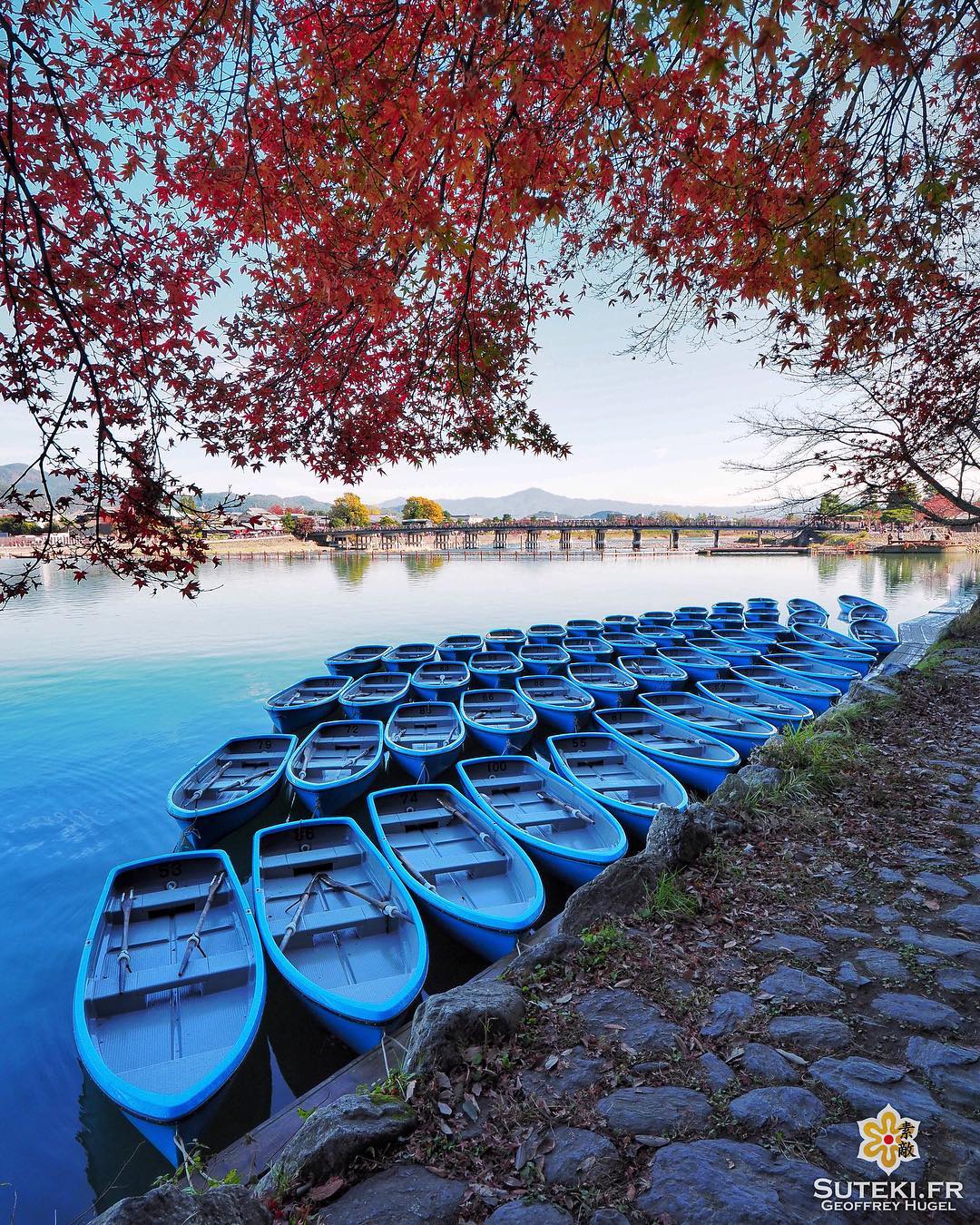 Un petit tour en barque ? #japon #kyoto