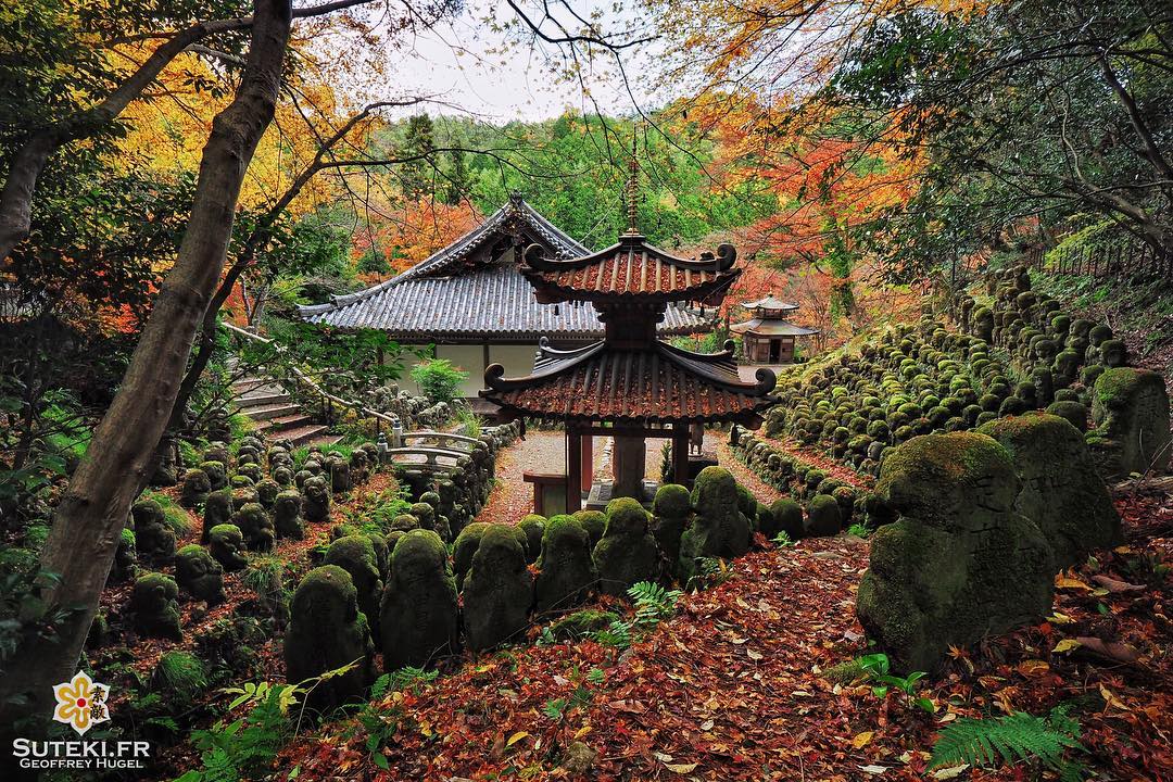 Seul et nombreux à la fois #japon #kyoto