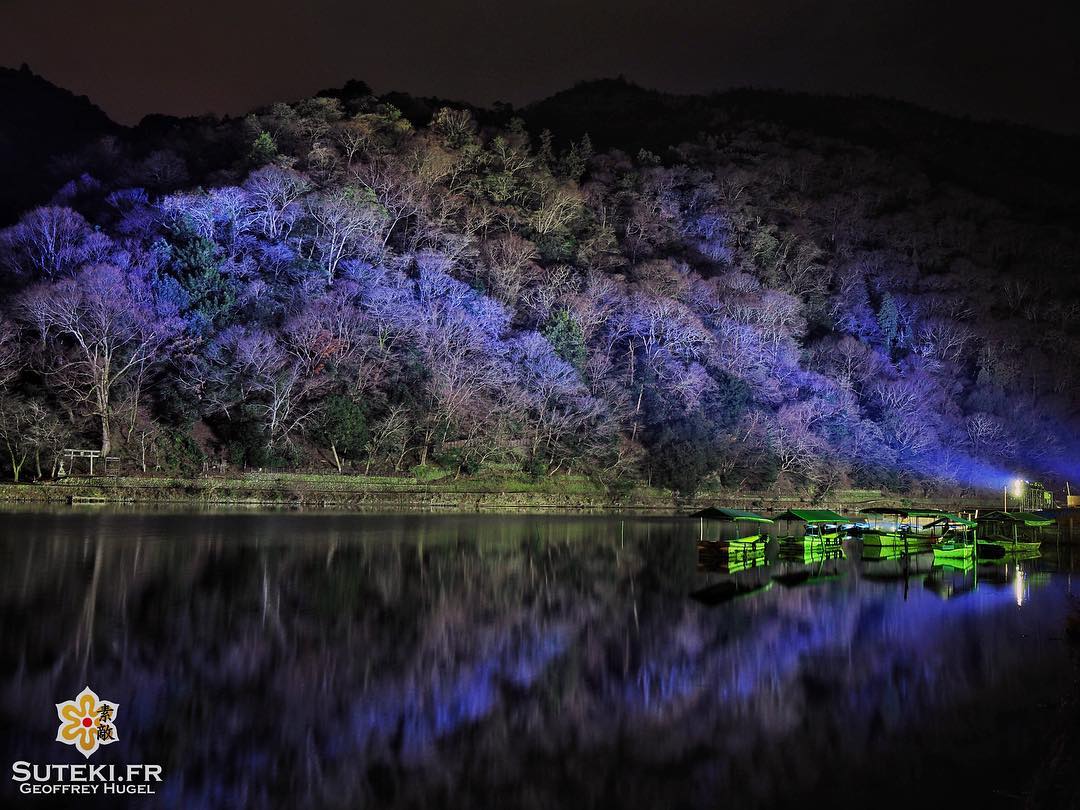 Après le rouge vient le violet #japon #kyoto