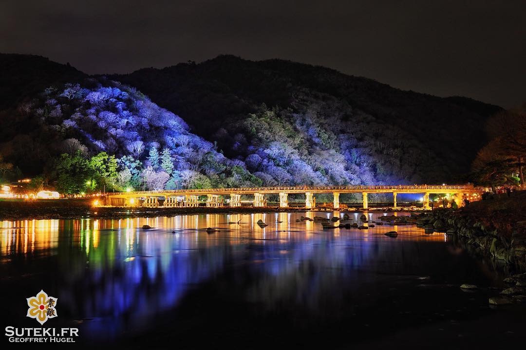 Aomurasaki #japon #kyoto