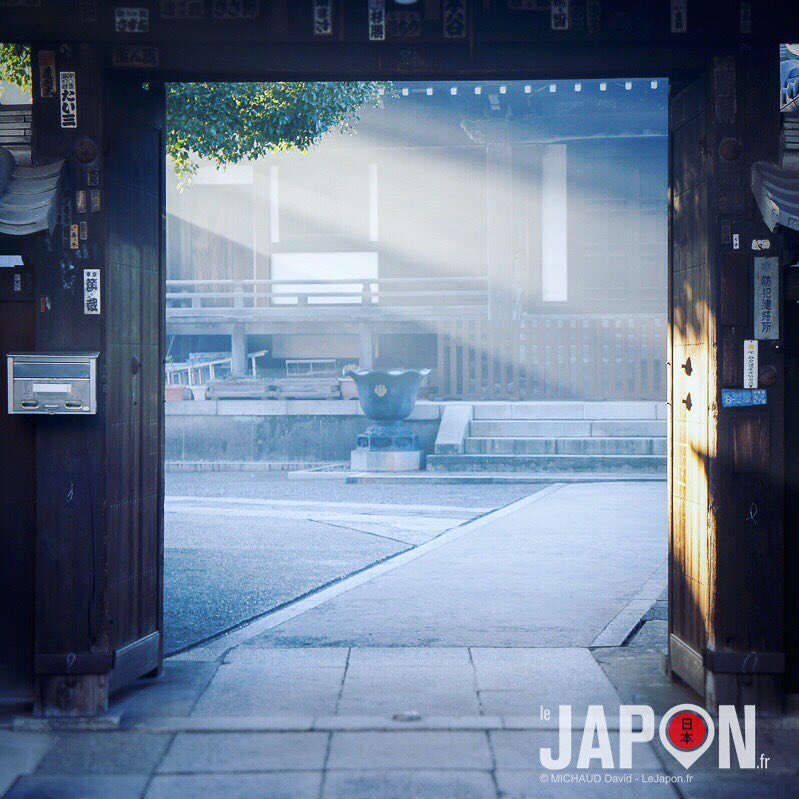Lumière divine dans un temple de Yanaka 🙏🏻✨ #Yanaka #japan #TokyoSafari
