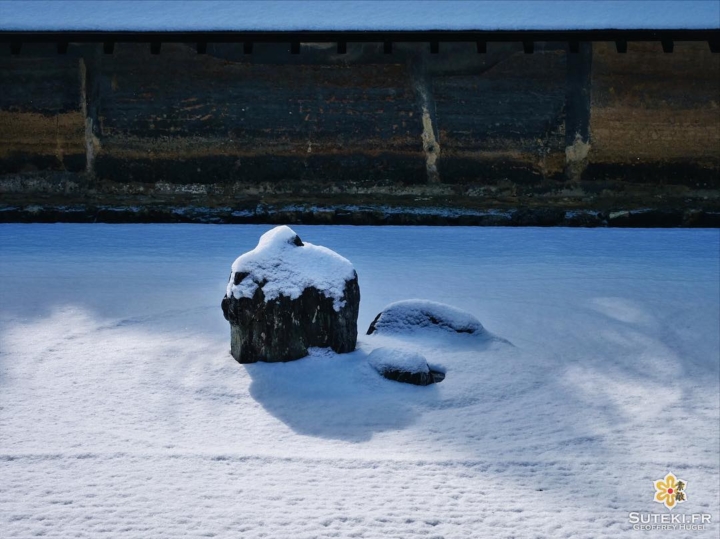 Cache-cache sous le manteau blanc