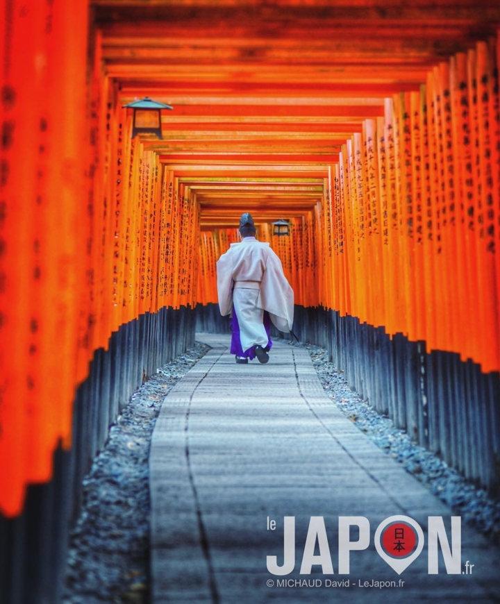 Un matin au sanctuaire Fushimi Inari ⛩⛩⛩🙏🏻✨ #Japon #KyotoSafari #Inari #Kyoto