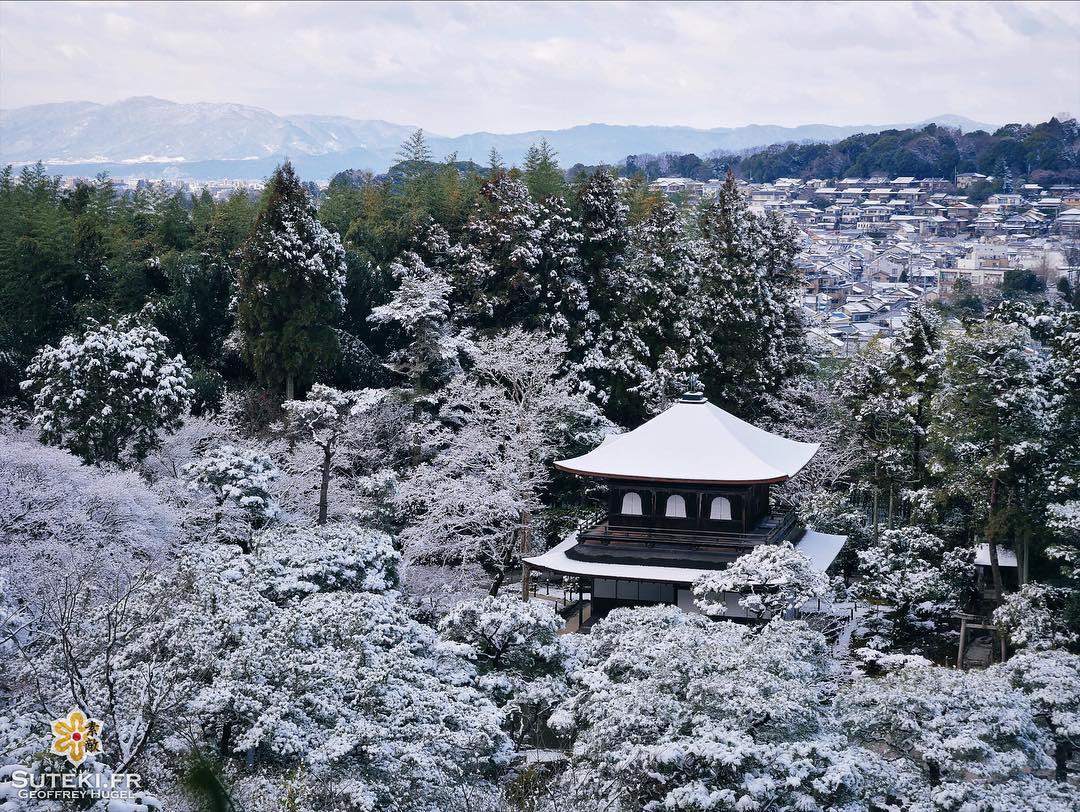 Le pavillon de blanc