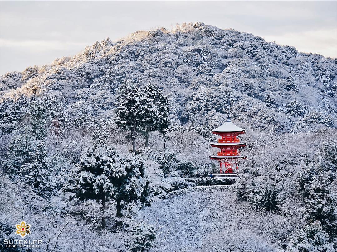 Les couleurs du Japon