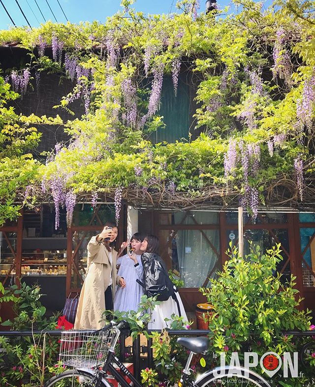 Tokyo est un jardin fleuri ! 🌳🌸