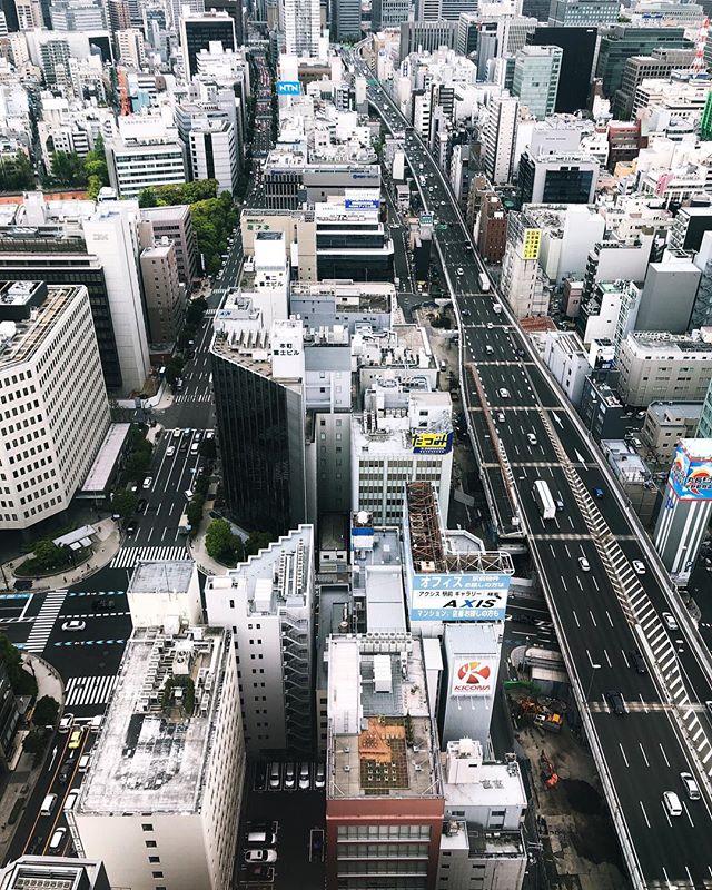 Osaka sous nos pieds 
#osakasafari #japonsafari