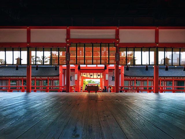 A force de prendre les tunnels de Torii du Fushimi-Inari ont fini par se lasser peut-être. Le regard se concentre sur d’autres choses avec le temps.