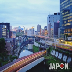 Tokyo !🗼 Mon terrain de jeu photographique peut aussi être le votre ! Découvrir/apprendre pendant mes visites #TokyoSafari 😉 #Tokyo #Japon
