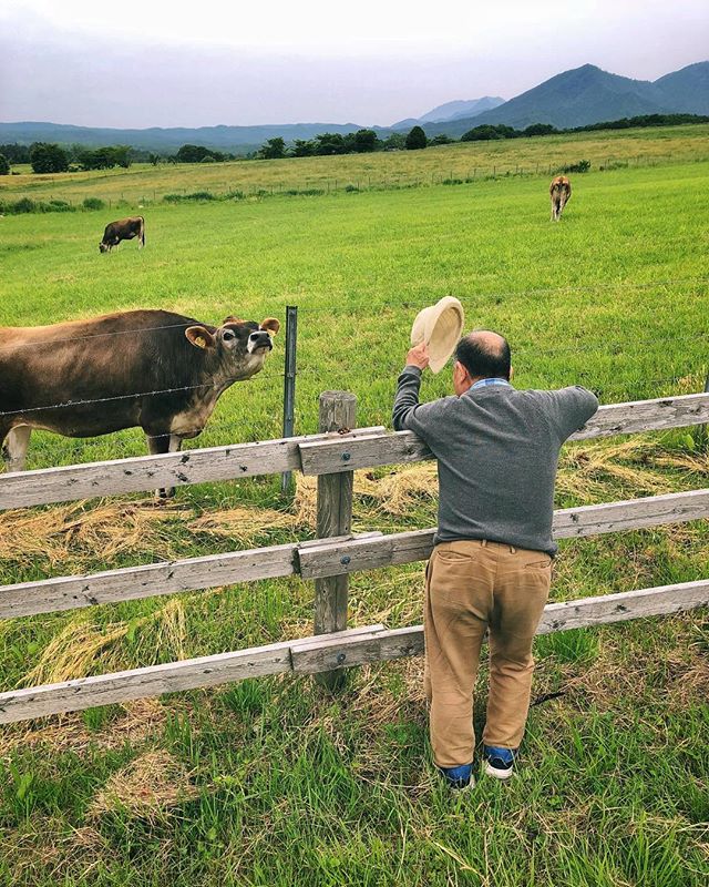 L’homme qui voulait murmurer à l’oreille des vaches 🐮