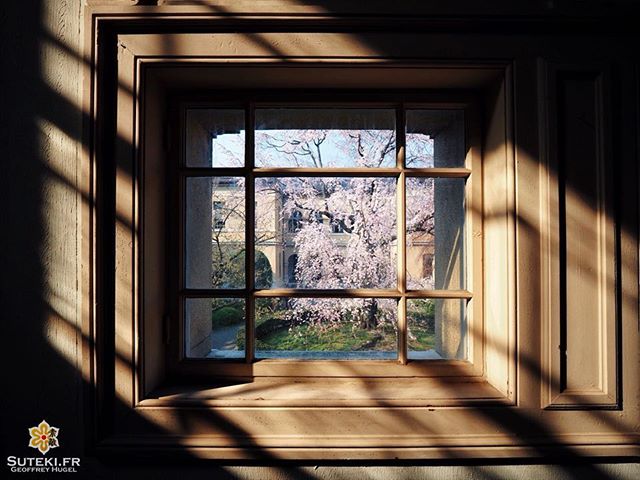 La vue que je n’ai pas depuis chez moi #japon #kyoto