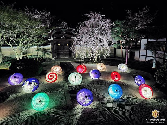 Assurément l’une des plus belles illuminations de Kyoto ! Qu’en pensez vous ? #japon #kyoto