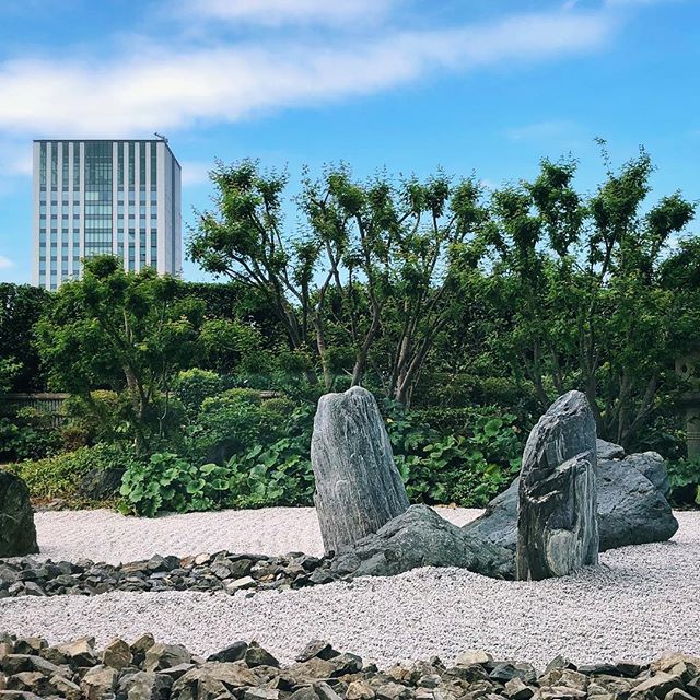 Les pierres, les monolithes 
#osakasafari #japonsafari