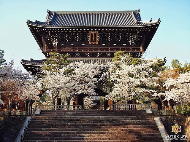 La porte de la montagne fleurie #japon #kyoto