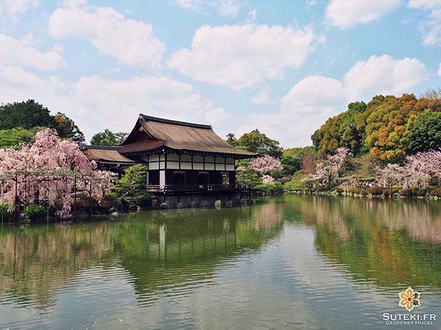 Sûrement l’une des plus jolies facettes de ce jardin #japon #kyoto