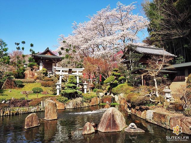 A l’heure actuelle, ce jardin est incontestablement ma plus belle découverte de l’année !! #japon #kyoto