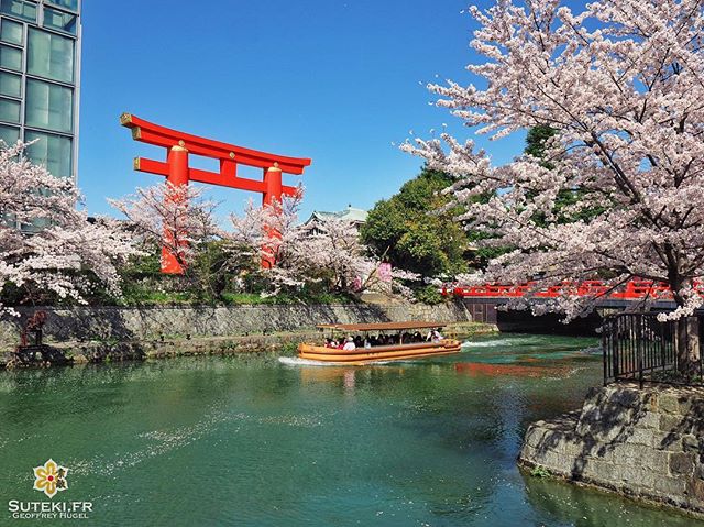 Je crois que je préfère être là plutôt que dans le bateau ! Et vous ?! #japon #kyoto