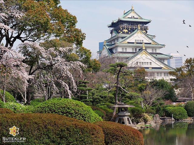 Osaka pendant les cerisiers, cela vaut aussi le coup ;) #japon #osaka
