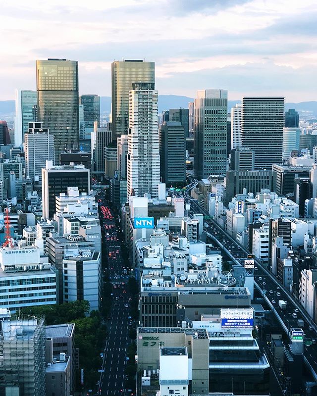 Il y a des tours presque jumelles en plein milieu d’Osaka 
#osakasafari #japonsafari