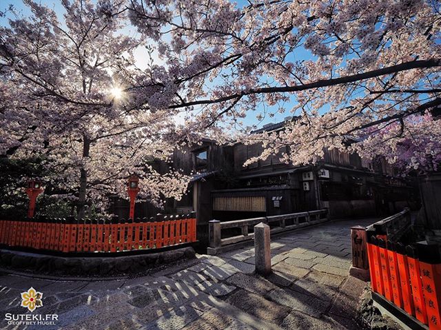 Quand tous les éléments sont réunis #japon #kyoto