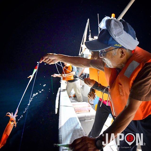 Voilà une des prises du soir pendant la pêche aux calamars 🦑 Bon je vous avoue qu’au bout de 2h j’étais un peu 🤮 #izumo #izumoexperience