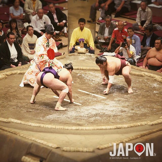Combat de titans !😱 #sumo #ryogoku #japon