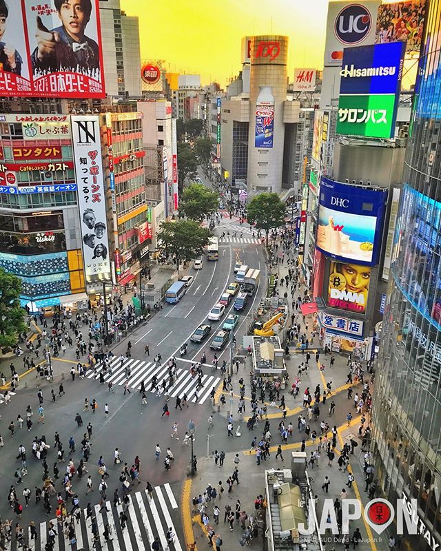 Shibuya quand arrive le soir brûlant de l’été ! 😱🗼🌇🔥🔥🔥