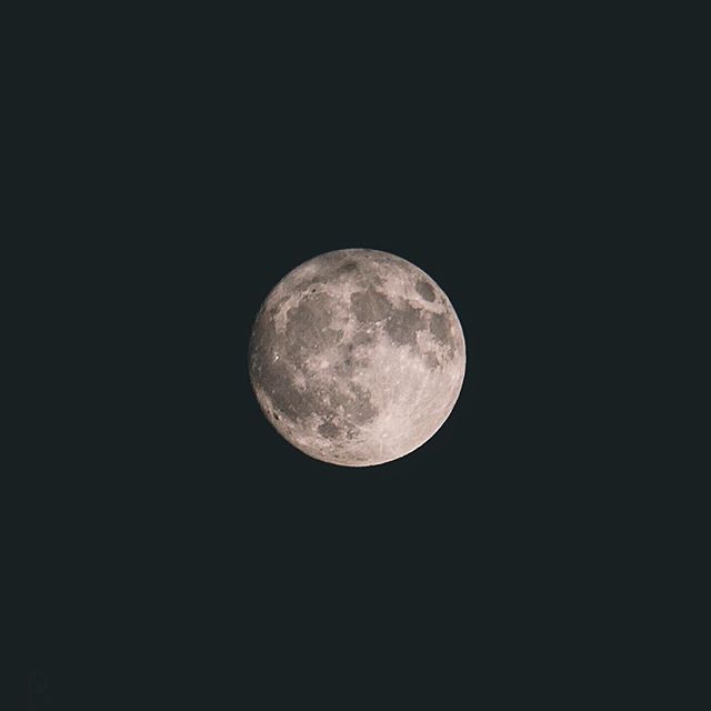 Otsukimi – Aujourd’hui au Japon, on observe la lune d’automne