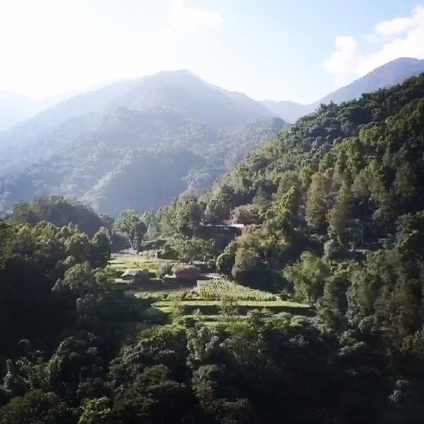 Incroyable expérience et rencontre dans la jungle de Taïwan grâce à @hoxiong et son offre #taiwansafari 🇹🇼