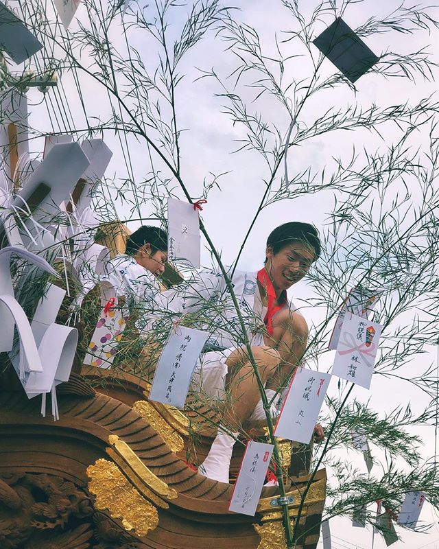 Matsuri pour les enfants et les ados qui a lieu chaque année dans mon quartier. Les plus costauds et grands montent sur le toit du Mikoshi pour éviter que les Sasa ne touchent les câbles électriques lors de certains passages dans les ruelles étroites :)