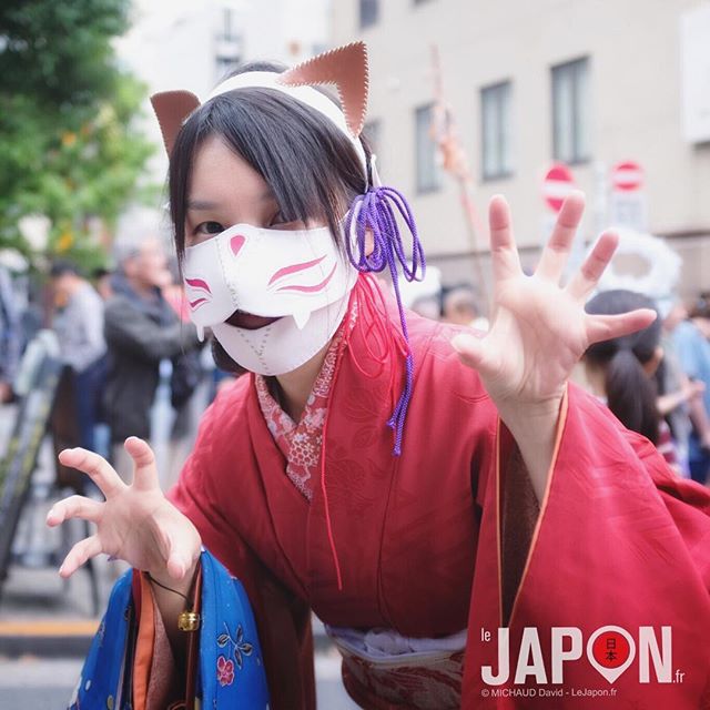 BakeNeko Matsuri de Kagurazaka ! #Tokyo #Matsuri #Japan #TokyoCameraClub #TokyoSafari