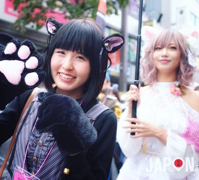 Bakeneko Matsuri @ Kagurazaka Tokyo ! 🙀 Quand les chats se transforment en humains 😼 #bakeneko #kagurazaka #Tokyo