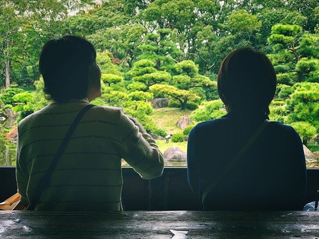 Assis face à l’écran vert
#osakasafari #japonsafari